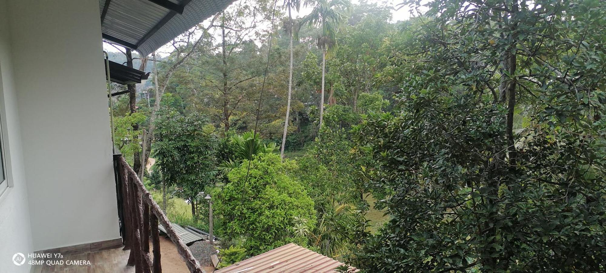 Isuru Homestay Ella Kültér fotó